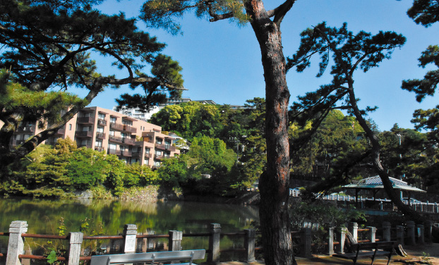 深田池公園の写真